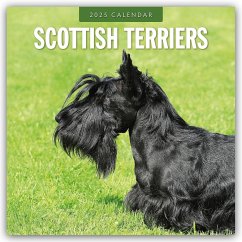Scottish Terrier - Scotchterrier 2025 - 16-Monatskalender - Red Robin Publishing Ltd