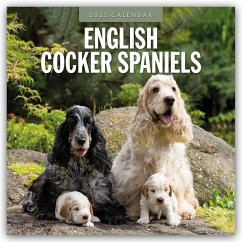 English Cocker Spaniels - Englisch Cocker Spaniel 2025 - 16-Monatskalender - Red Robin Publishing Ltd