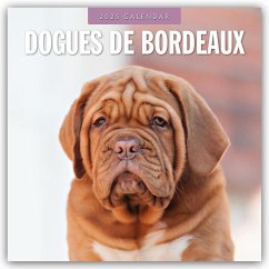 Dogues de Bordeaux - Bordeauxdoggen - Bordeaux Doggen 2025 - 16-Monatskalender - Red Robin Publishing Ltd