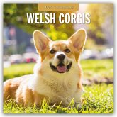 Welsh Corgis - Welsh Corgi 2025 - 16-Monatskalender