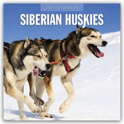 Siberian Huskies - Sibirischer Husky - Sibirische Huskys 2025 - 16-Monatskalender - Red Robin Publishing Ltd