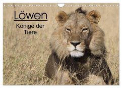 Löwen - Könige der Tiere (Wandkalender 2025 DIN A4 quer), CALVENDO Monatskalender - Calvendo;Sander, Stefan