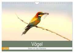 Vögel Stars vor der Kamera (Wandkalender 2025 DIN A4 quer), CALVENDO Monatskalender