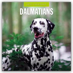 Dalmatians - Dalmatiner 2025 - 16-Monatskalender - Red Robin Publishing Ltd