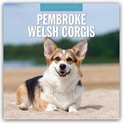 Pembroke Welsh Corgis - Pembroke Welsh Corgi 2025 - 16-Monatskalender - Red Robin Publishing Ltd