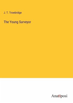 The Young Surveyor - Trowbridge, J. T.