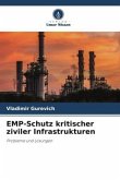 EMP-Schutz kritischer ziviler Infrastrukturen