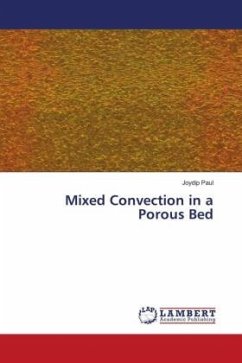 Mixed Convection in a Porous Bed - Paul, Joydip