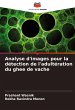 Analyse d'images pour la détection de... - Bild 1