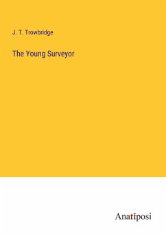 The Young Surveyor - Trowbridge, J. T.