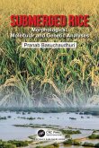 Submerged Rice (eBook, PDF)