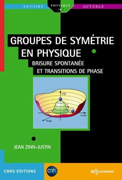 Cover Groupes de symétrie en physique (eBook, PDF)