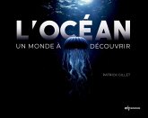 L'océan (eBook, PDF)