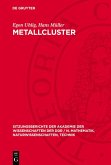 Metallcluster (eBook, PDF)