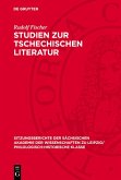 Studien zur tschechischen Literatur (eBook, PDF)