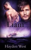 Liam (Brothers, #4) (eBook, ePUB)