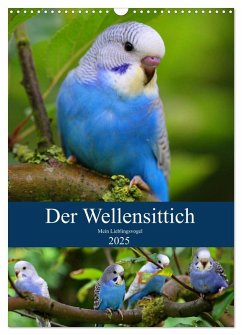 Der Wellensittich - Mein Lieblingsvogel (Wandkalender 2025 DIN A3 hoch), CALVENDO Monatskalender - Calvendo;Bergmann, Björn