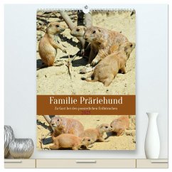 Familie Präriehund (hochwertiger Premium Wandkalender 2025 DIN A2 hoch), Kunstdruck in Hochglanz - Calvendo;Kleemann, Claudia