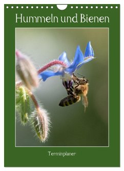 Hummeln und Bienen Terminplaner (Wandkalender 2025 DIN A4 hoch), CALVENDO Monatskalender - Calvendo;Kohrt, Stephanie