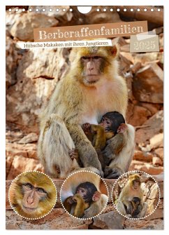 Berberaffenfamilien (Wandkalender 2025 DIN A4 hoch), CALVENDO Monatskalender - Calvendo;Kleemann, Claudia