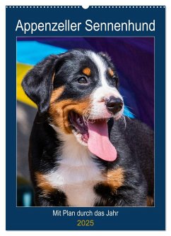 Appenzeller Sennenhund - Mit Plan durch das Jahr (Wandkalender 2025 DIN A2 hoch), CALVENDO Monatskalender