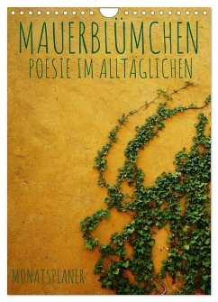 Mauerblümchen - Poesie im Alltäglichen als Monatsplaner (Wandkalender 2025 DIN A4 hoch), CALVENDO Monatskalender