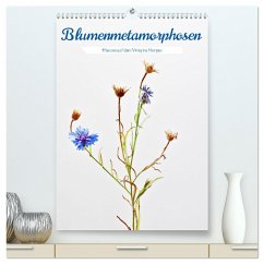 Blumenmetamorphosen (hochwertiger Premium Wandkalender 2025 DIN A2 hoch), Kunstdruck in Hochglanz - Calvendo;Stenner, Clemens