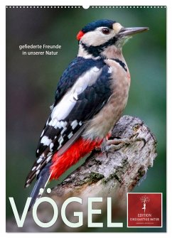 Vögel - gefiederte Freunde in unserer Natur (Wandkalender 2025 DIN A2 hoch), CALVENDO Monatskalender