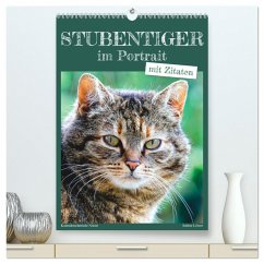 Stubentiger im Portrait (hochwertiger Premium Wandkalender 2025 DIN A2 hoch), Kunstdruck in Hochglanz