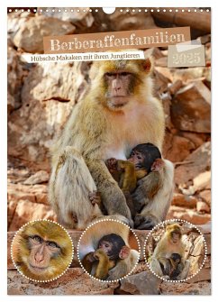 Berberaffenfamilien (Wandkalender 2025 DIN A3 hoch), CALVENDO Monatskalender - Calvendo;Kleemann, Claudia