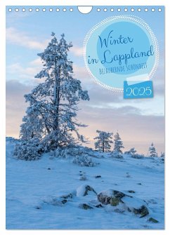 Winter in Lappland - Bezaubernde Schönheit (Wandkalender 2025 DIN A4 hoch), CALVENDO Monatskalender