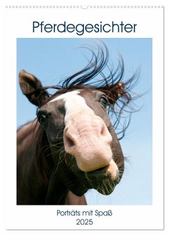 Pferdegesichter - Porträts mit Spaß (Wandkalender 2025 DIN A2 hoch), CALVENDO Monatskalender
