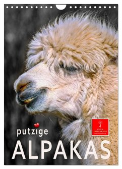 Putzige Alpakas (Wandkalender 2025 DIN A4 hoch), CALVENDO Monatskalender