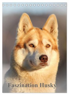 Faszination Husky (Tischkalender 2025 DIN A5 hoch), CALVENDO Monatskalender