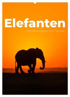 Elefanten - Die Herzeroberer der Tierwelt. (Wandkalender 2025 DIN A2 hoch), CALVENDO Monatskalender - Calvendo;SF