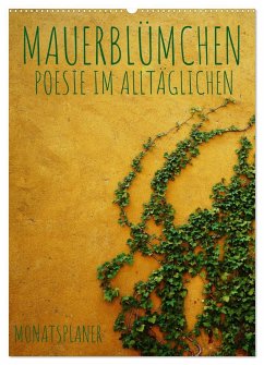 Mauerblümchen - Poesie im Alltäglichen als Monatsplaner (Wandkalender 2025 DIN A2 hoch), CALVENDO Monatskalender