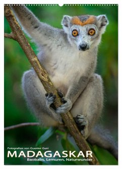 MADAGASKAR: Baobabs, Lemuren, Naturwunder (Wandkalender 2025 DIN A2 hoch), CALVENDO Monatskalender