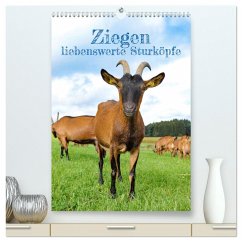 Ziegen - liebenswerte Sturköpfe (hochwertiger Premium Wandkalender 2025 DIN A2 hoch), Kunstdruck in Hochglanz