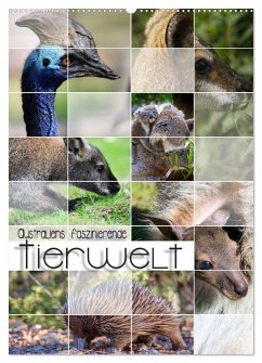 Australiens faszinierende Tierwelt (Wandkalender 2025 DIN A2 hoch), CALVENDO Monatskalender - Calvendo;Utz, Renate