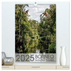 BORNEO Bedrohtes Paradies (hochwertiger Premium Wandkalender 2025 DIN A2 hoch), Kunstdruck in Hochglanz - Calvendo;Schoennerstedt, Maren