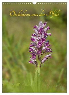 Orchideen aus der Pfalz (Wandkalender 2025 DIN A3 hoch), CALVENDO Monatskalender - Calvendo;Juehust