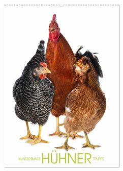 Kunterbunte Hühner Truppe (Wandkalender 2025 DIN A2 hoch), CALVENDO Monatskalender