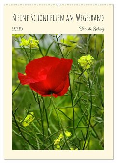 Kleine Schönheiten am Wegesrand (Wandkalender 2025 DIN A2 hoch), CALVENDO Monatskalender - Calvendo;Scholz, Traude