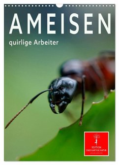 Ameisen quirlige Arbeiter (Wandkalender 2025 DIN A3 hoch), CALVENDO Monatskalender