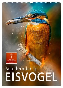 Schillernder Eisvogel (Wandkalender 2025 DIN A2 hoch), CALVENDO Monatskalender