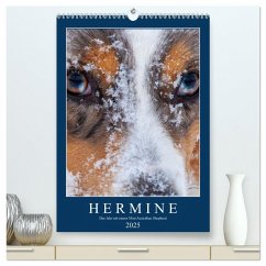 Hermine - Ein Jahr mit einem Mini Australian Shepherd (hochwertiger Premium Wandkalender 2025 DIN A2 hoch), Kunstdruck in Hochglanz