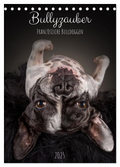 Bullyzauber - Französische Bulldoggen (Tischkalender 2025 DIN A5 hoch), CALVENDO Monatskalender - Calvendo;Gareis (SCHNAPP-Schuss), Silke