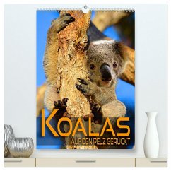 Koalas auf den Pelz gerückt (hochwertiger Premium Wandkalender 2025 DIN A2 hoch), Kunstdruck in Hochglanz