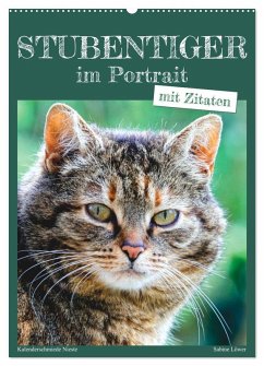 Stubentiger im Portrait (Wandkalender 2025 DIN A2 hoch), CALVENDO Monatskalender