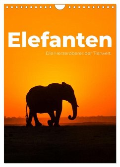 Elefanten - Die Herzeroberer der Tierwelt. (Wandkalender 2025 DIN A4 hoch), CALVENDO Monatskalender